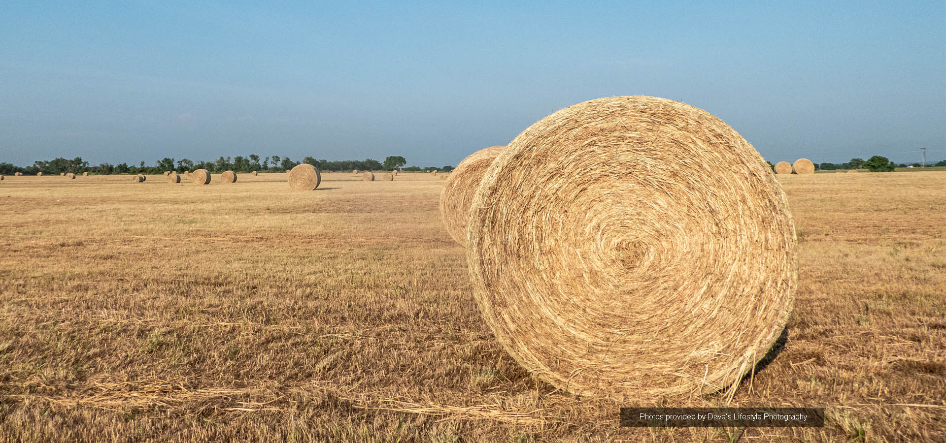 Rolled Hay Image by Dave’s Lifestyle Photography